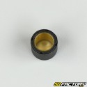 Inverter rollers 5g 16x13mm Kisbee,  Agility,  Zip,  Cracker...