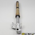 Eurocka left fork arm Legend  XNUMX (from XNUMX)