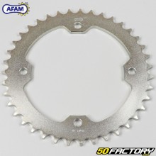 Rear sprocket 39 teeth steel 520 Yamaha YFZ 450, YFM Raptor 250, SMC Blast 170, Barossa Quaterback 250 ... Afam