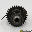 Kick-start shaft
 Suzuki  TSR 125 (1989 - 1994)