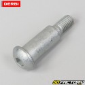 Axe de pédale de frein arrière Derbi Senda, Gilera SMT, RCR, Aprilia...