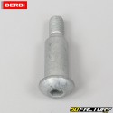 Axe de pédale de frein arrière Derbi Senda, Gilera SMT, RCR, Aprilia...