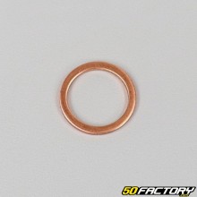 16x20mm Guarnizione del tappo di scarico in rame