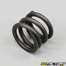 Honda CLR Fork Dip Tube Spring 125 (1998 - 2003)