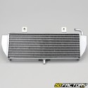 Radiateur Yamaha Jog R, MBK Mach G