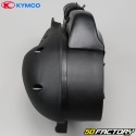 Caixa de ar completo Kymco Agility  2T  Euro 2