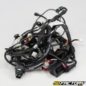 Electrical harness Aprilia RS Replica, RS4  et  Tuono 125