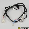 Electrical harness Aprilia RS Replica, RS4  et  Tuono 125