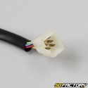 Electrical harness Aprilia RS Replica, RS4  et  Tuono 125