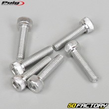 Schrauben 5x20 mm BTR-Kopf Puig grau (Satz 6 Stück)