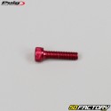 Screws 5x20 mm head BTR Puig red (set of 6)