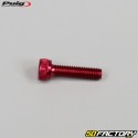 Screws 5x20 mm head BTR Puig red (set of 6)