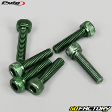 Tornillos cabeza BTR Puig verde de 5x20 mm (juego de 6)