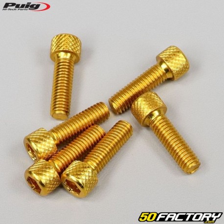 6x20 mm screws head BTR Puig golden (set of 6)