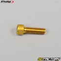 6x20 mm screws head BTR Puig golden (set of 6)