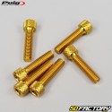 6x25 mm viti a testa BTR Puig d&#39;oro (set di 6)