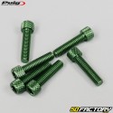 6x25 mm viti a testa BTR Puig verde (set di 6)