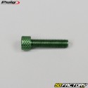 6x25 mm viti a testa BTR Puig verde (set di 6)