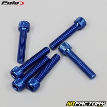 Tornillos cabeza BTR Puig azul de 6x30 mm (juego de 6)