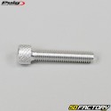 6x30 mm screws head BTR Puig gray (set of 6)