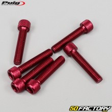 Schrauben 6x30 mm BTR-Kopf Puig rot (Satz von 6)