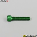 6x30 mm screws head BTR Puig green (set of 6)