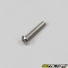 Tornillo de XNUMXxXNUMX mm BTR cabeza abombada (por unidad) acero inoxidable