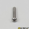 Stainless steel convex BTR head screw (individually)