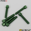 6x35 mm screws head BTR Puig green (set of 6)