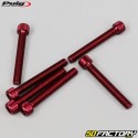 Viti 6x45 mm testa BTR Puig rosso (set di 6)