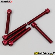 Vis 6x45 mm tête BTR Puig rouges (lot de 6)