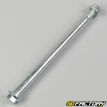 Swingarm shaft Rieju  RSXNUMX, RR, Spike