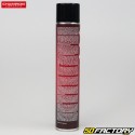 Brake cleaner Champion Proracing GP Brake Cleaner 750ml