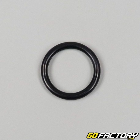 O-ring Ã˜23.39x30.45x3.53mm (per unità)