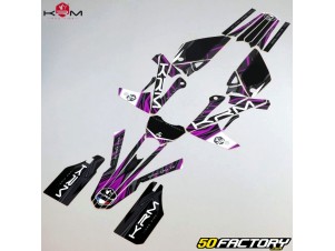 Kit Pegatinas CARENADO Completo para Moto RIEJU RS2 MATRIS