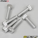 8x30 mm screws head BTR Puig gray (set of 6)