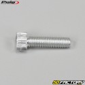 8x30 mm screws head BTR Puig gray (set of 6)