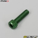 8x30 mm screws head BTR Puig green (set of 6)