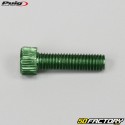 8x30 mm screws head BTR Puig green (set of 6)