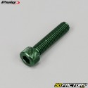 8x35 mm screws head BTR Puig green (set of 6)