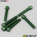 Tornillos cabeza BTR Puig verde de 8x45 mm (juego de 6)