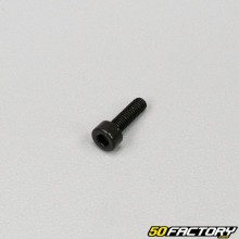 3x10mm Vite BTR (singolarmente) nera