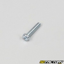 4x20 mm screws with flat head (per unit)