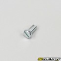 Screw 5x10mm flat head (to the unit)