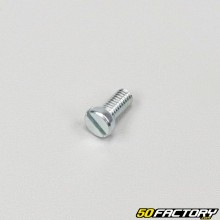 Schraube 5x10mm Flachkopf (Einzelstück)