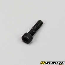 5x20 mm screws with BTR head (single)