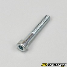 Tornillo de XNUMXxXNUMX mm cabeza BTR (por unidad)