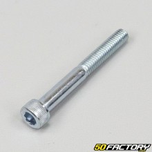 Tornillo 6x50 mm cabeza BTR (por unidad) V1