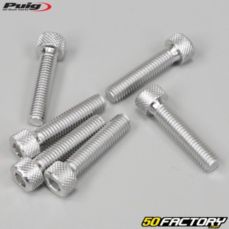 Tornillos cabeza BTR Puig de 8x35 mm gris (juego de 6)