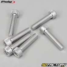 Screws 8x35 mm head BTR Puig gray (set of 6)